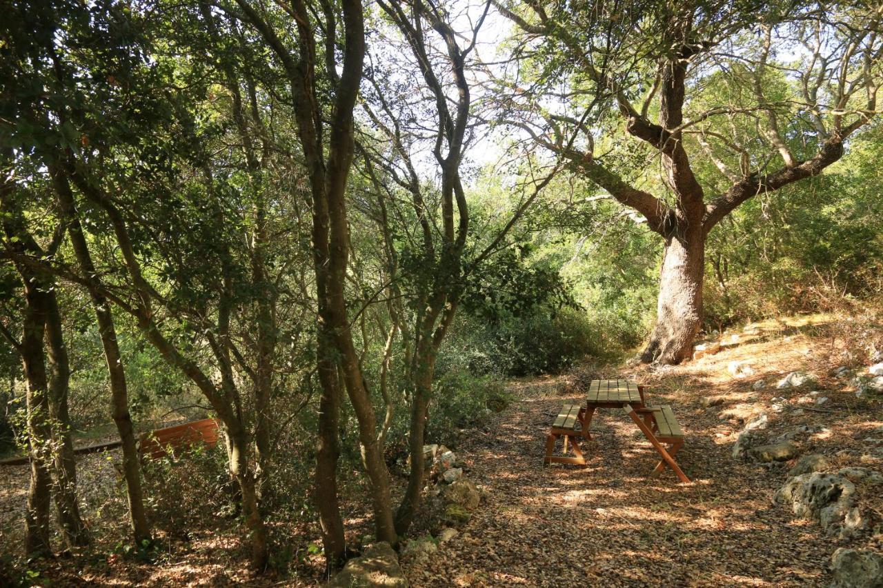 Antica Masseria Pescu Presicce Dış mekan fotoğraf